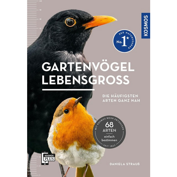 LEBENSGROß - Vogelführer und -ratgeber