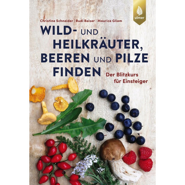 UND HEILKRÄUTER, BEEREN UND PILZE FINDEN - Sachbuch