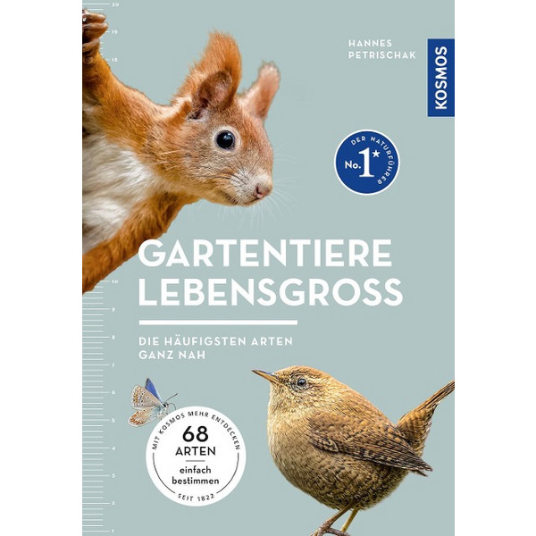 LEBENSGROß - Sachbuch