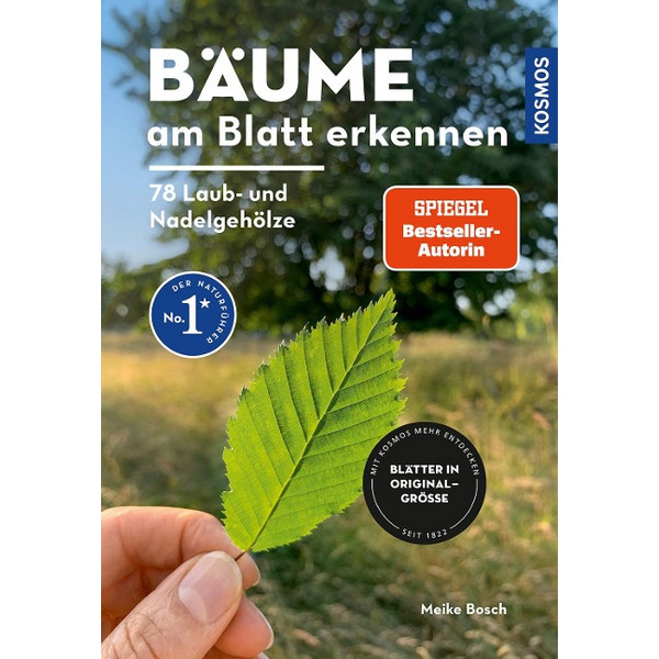 BÄUME AM BLATT ERKENNEN - 78 LAUB- UND NADELGEHÖLZE - Sachbuch Ansicht 1