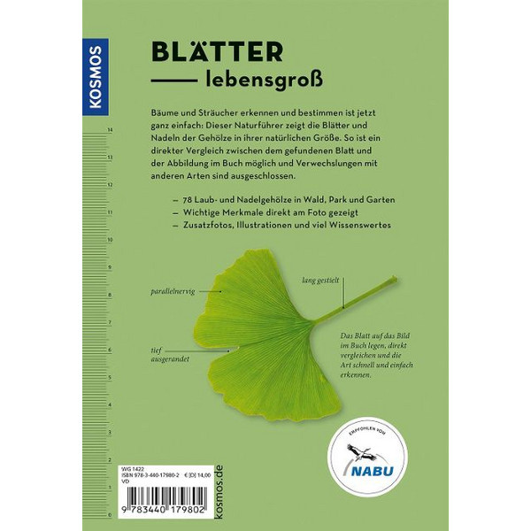 BÄUME AM BLATT ERKENNEN - 78 LAUB- UND NADELGEHÖLZE - Sachbuch Ansicht 2