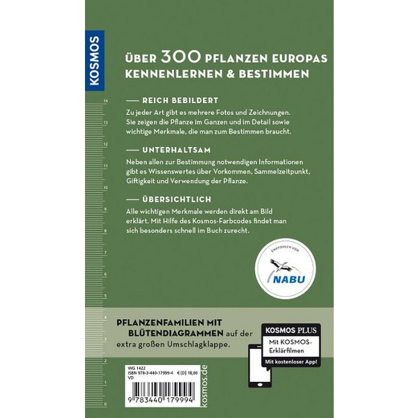 WELCHE ESSBARE WILDPFLANZE IST DAS? - Sachbuch Ansicht 2