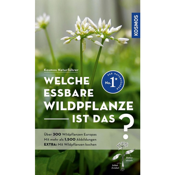 WELCHE ESSBARE WILDPFLANZE IST DAS? - Sachbuch Ansicht 1