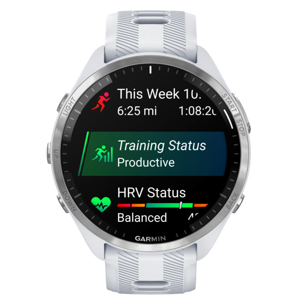 FORERUNNER 965 - Smartwatch-STEINWEISS/HELLGRAU