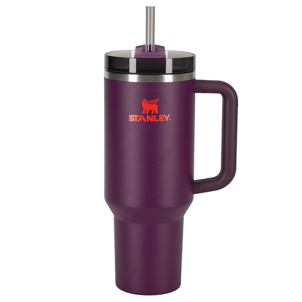 THE QUENCHER H2.O FLOWSTATE TUMBLER - Thermobecher-PLUM