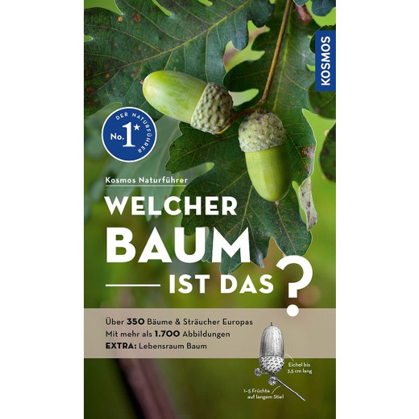 BAUM IST DAS? - Sachbuch