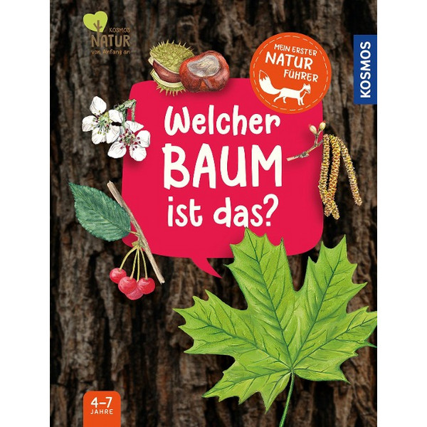MEIN ERSTER NATURFÜHRER, WELCHER BAUM IST DAS? - Sachbuch Ansicht 3