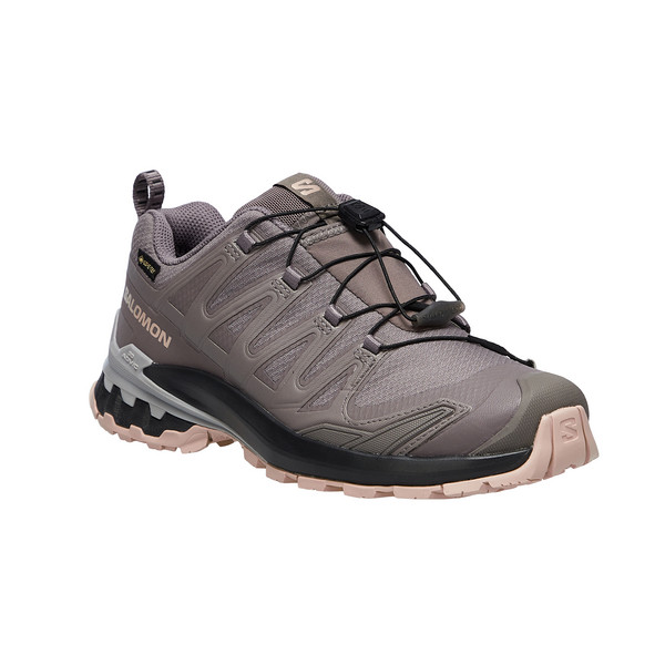 Salomon XA PRO 3D V9 GTX W Damen - Wanderschuhe Ansicht 2