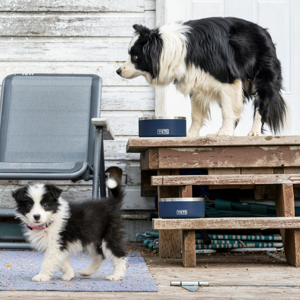 Yeti Coolers BOOMER DOG BOWL - Hundezubehör Ansicht 4