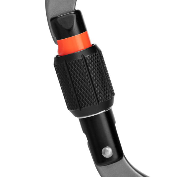 Mammut WORKHORSE HMS SCREWGATE CARABINER - Karabiner Ansicht 2