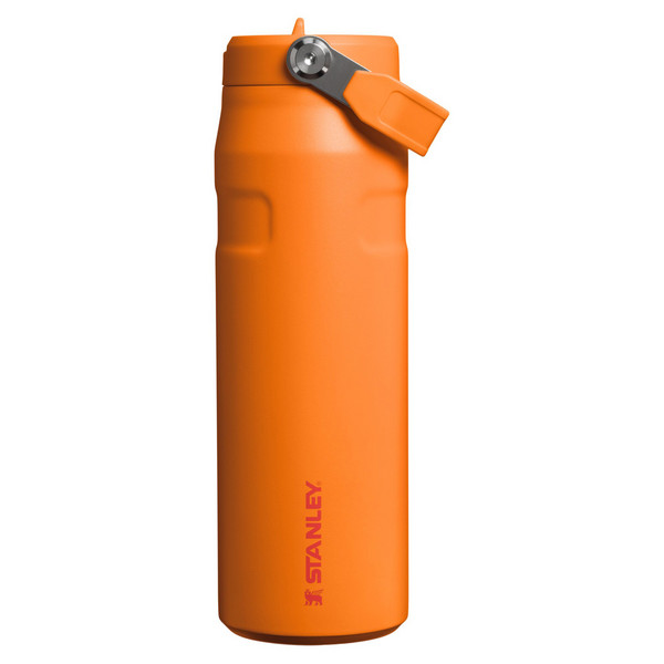 THE ICEFLOW FLIP STRAW 2.0 BOTTLE - Trinkflasche-GOLDENROD CORAL