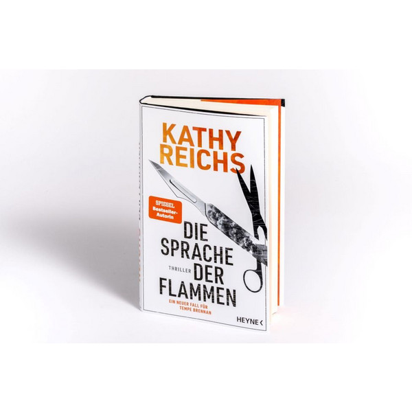 DIE SPRACHE DER FLAMMEN - Thriller Ansicht 2