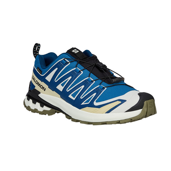 Salomon XA PRO 3D V9 GTX Herren - Wanderschuhe Ansicht 2
