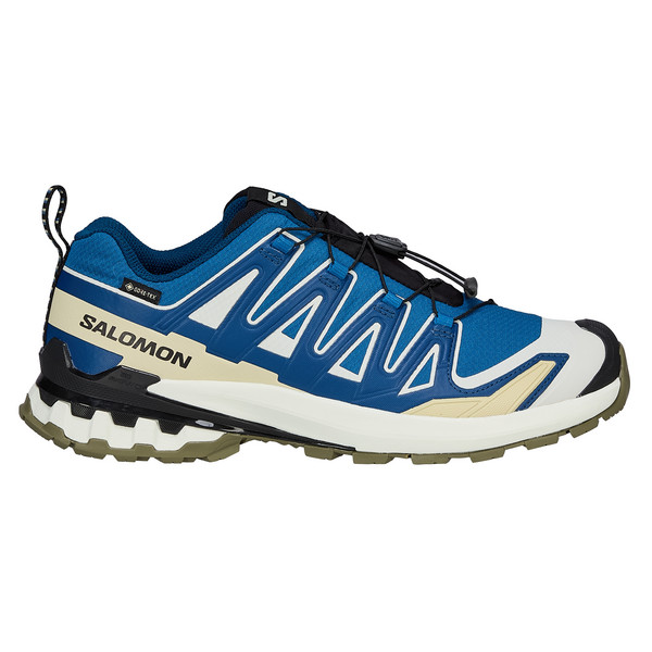 Salomon XA PRO 3D V9 GTX Herren - Wanderschuhe Ansicht 1