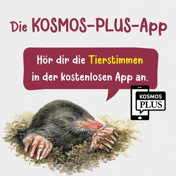 WAS LEBT IM GARTEN? KINDERNATURFÜHRER - Kinderbuch Ansicht 2