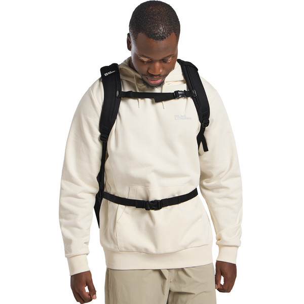 Jack Wolfskin SIERRA Unisex - Tagesrucksack Ansicht 11