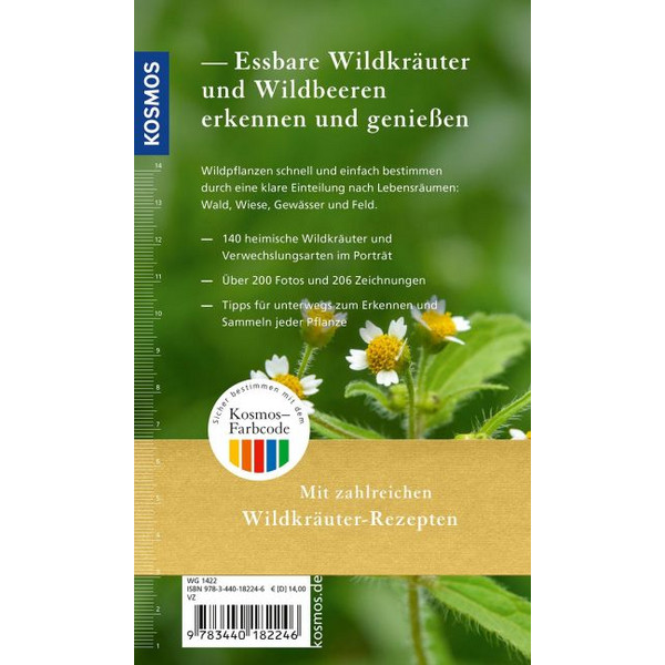 ESSBARE WILDKRÄUTER UND WILDBEEREN FÜR UNTERWEGS - Ratgeber Ansicht 2