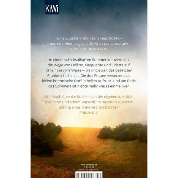 DER SOMMER, IN DEM ALLES BEGANN - Roman Ansicht 2