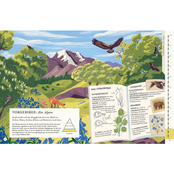 BESTEIGE DEN BERG IN DIESEM BUCH - Kinderbuch Ansicht 2