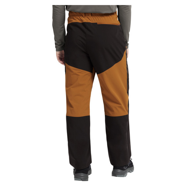 Jack Wolfskin RIDGE HIKE PANTS M Herren - Softshellhose Ansicht 4