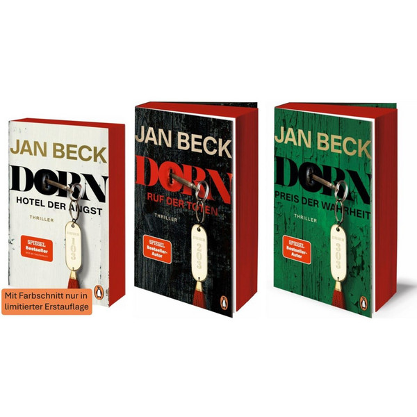 DORN - Thriller Ansicht 2