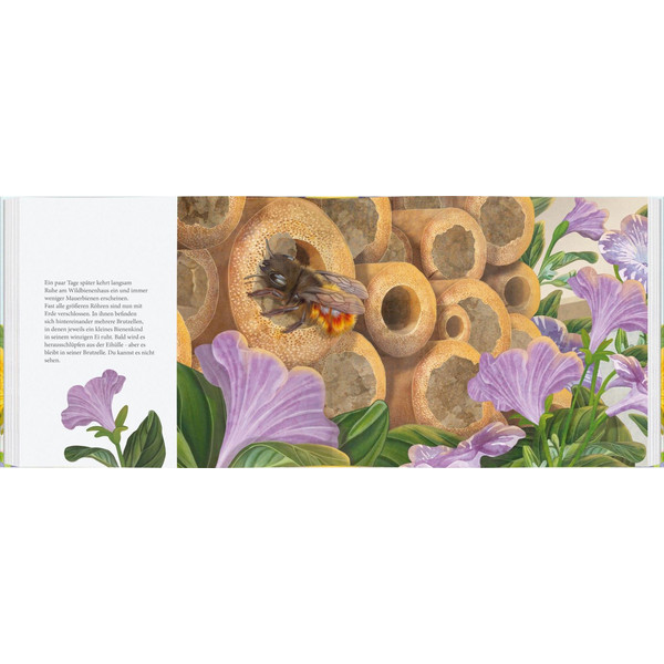ICH BAU DIR EIN HAUS, KLEINE WILDBIENE - Kinderbuch Ansicht 2