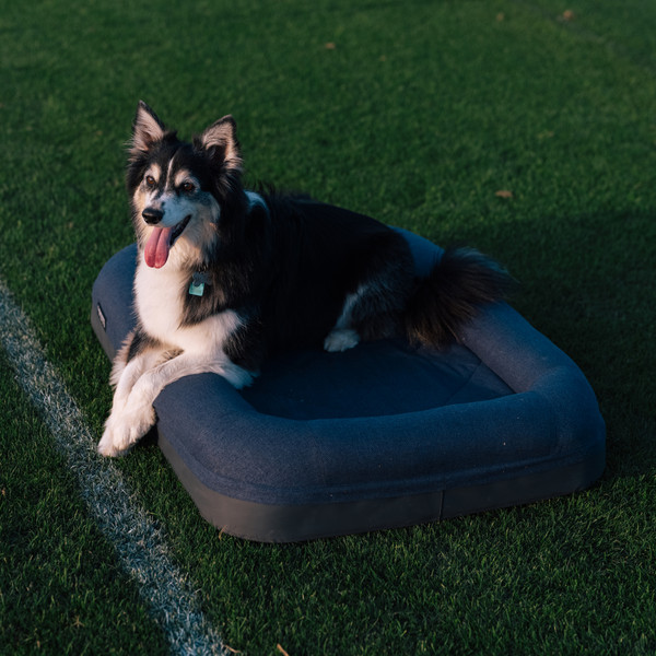 Yeti Coolers DOG BED LARGE - Hundezubehör Ansicht 7