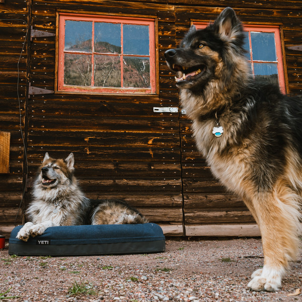 Yeti Coolers DOG BED SMALL - Hundezubehör Ansicht 6