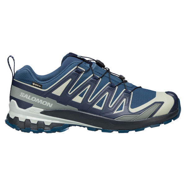 XA PRO 3D V9 GORE-TEX Herren - Wanderschuhe