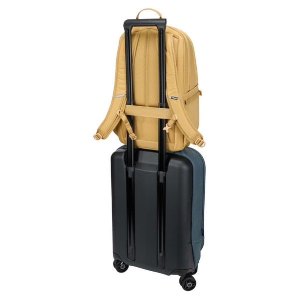 Thule ENROUTE BACKPACK 23L PALE YELLOW - Tagesrucksack Ansicht 12