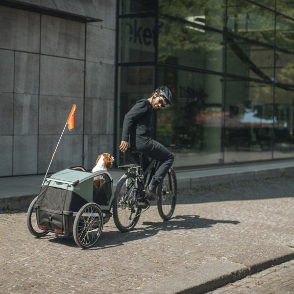 Thule BEXEY HAZY GREEN M - Fahrradanhänger Ansicht 9