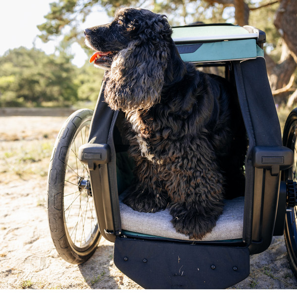 Thule BEXEY DOG BED L Ansicht 3