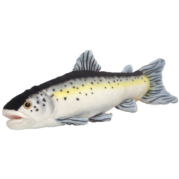 Teddy SALMON - Stofftier