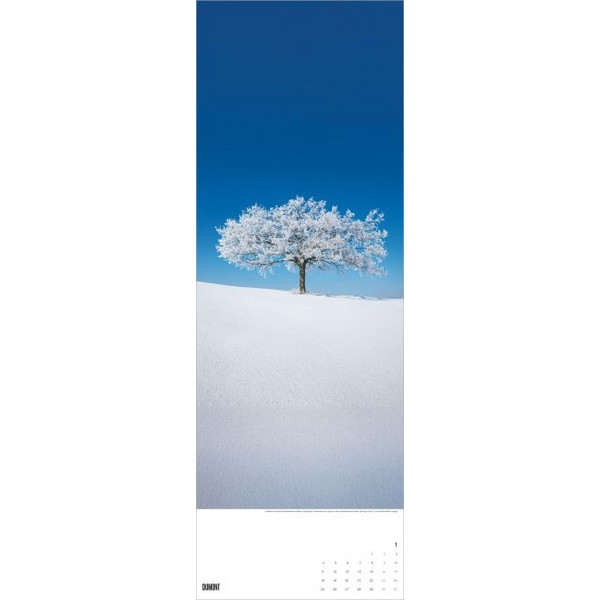 BÄUME 2027 - Kalender Ansicht 2