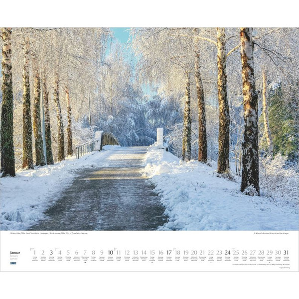 BÄUME-ALLEEN 2027 - Kalender Ansicht 2