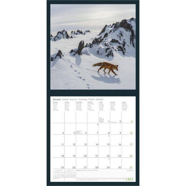 GEO AMAZING NATURE 2027 - Kalender Ansicht 2