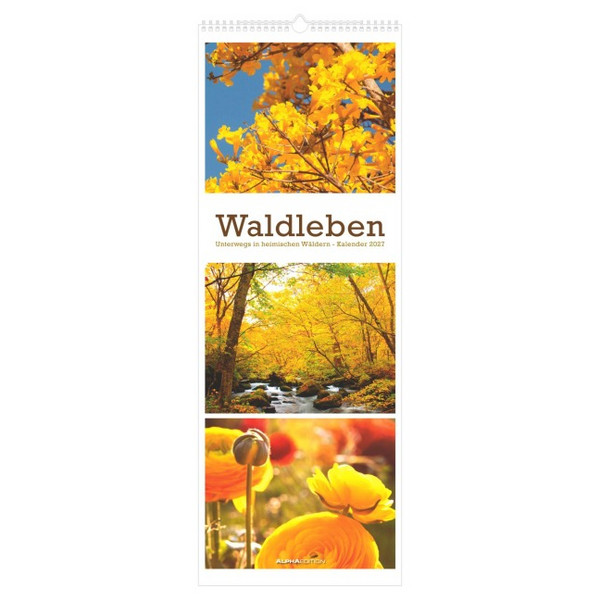 - TRIPLETS 2027 - Kalender
