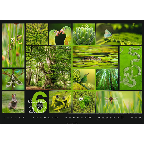 COLOURS OF NATURE KALENDER 2027 Ansicht 7
