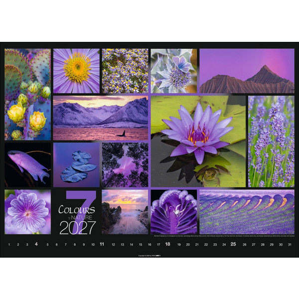 COLOURS OF NATURE KALENDER 2027 Ansicht 8