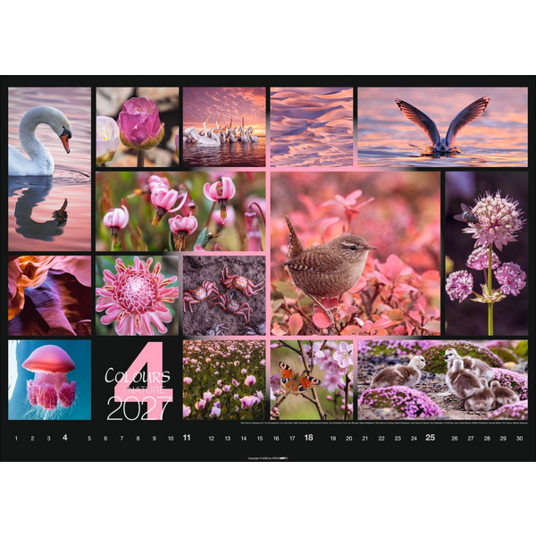 COLOURS OF NATURE KALENDER 2027 Ansicht 5