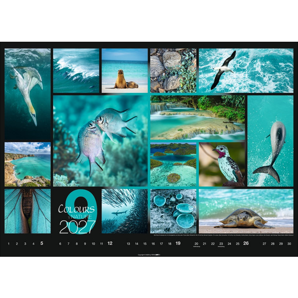 COLOURS OF NATURE KALENDER 2027 Ansicht 10