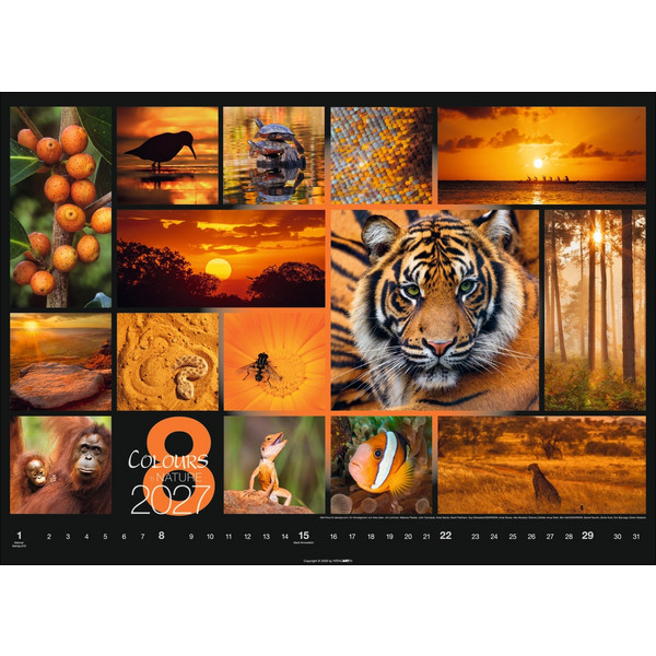 COLOURS OF NATURE KALENDER 2027 Ansicht 9