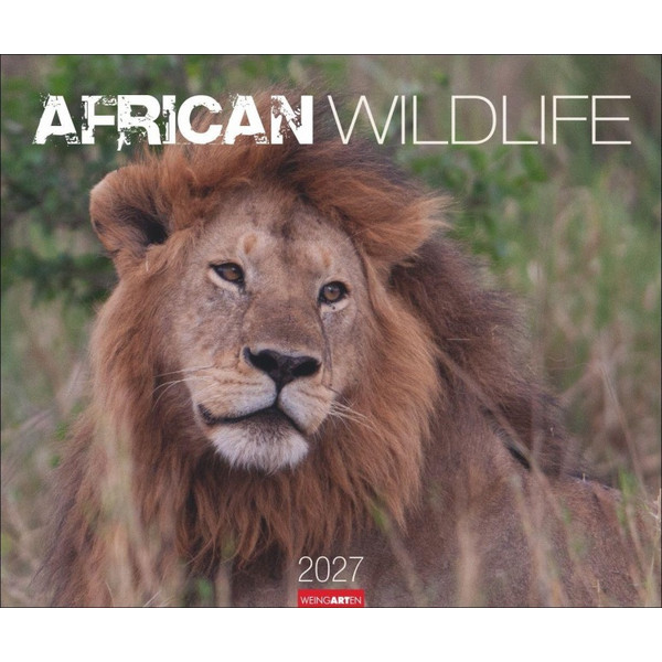 AFRICAN WILDLIFE KALENDER 2027 Ansicht 1