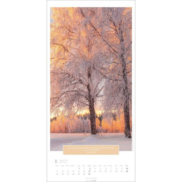 WUNDERWELT DER BÄUME KALENDER 2027 Ansicht 2