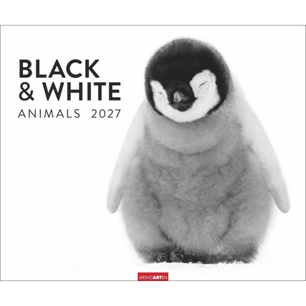 BLACK & WHITE ANIMALS 2027 - Kalender Ansicht 1