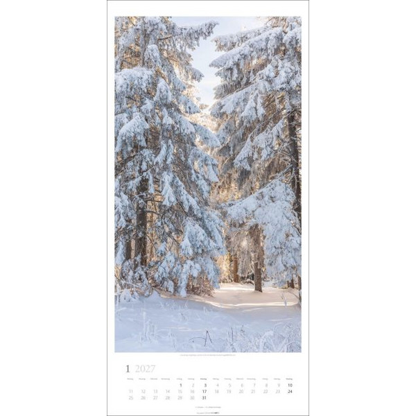 IM WALD KALENDER 2027 Ansicht 2