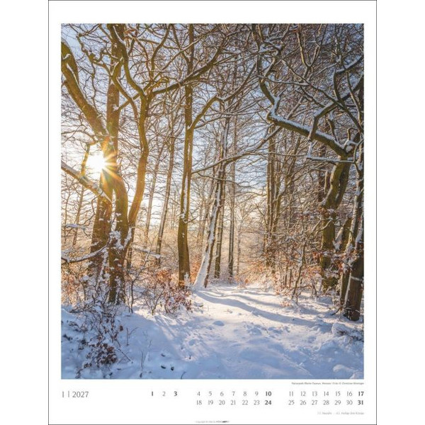 HEIMISCHE WÄLDER KALENDER 2027 Ansicht 2