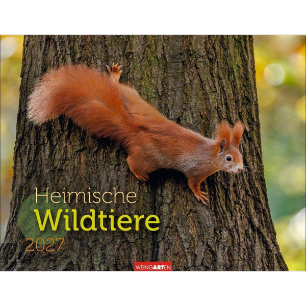 WILDTIERE KALENDER 2027