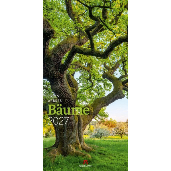 KALENDER 2027