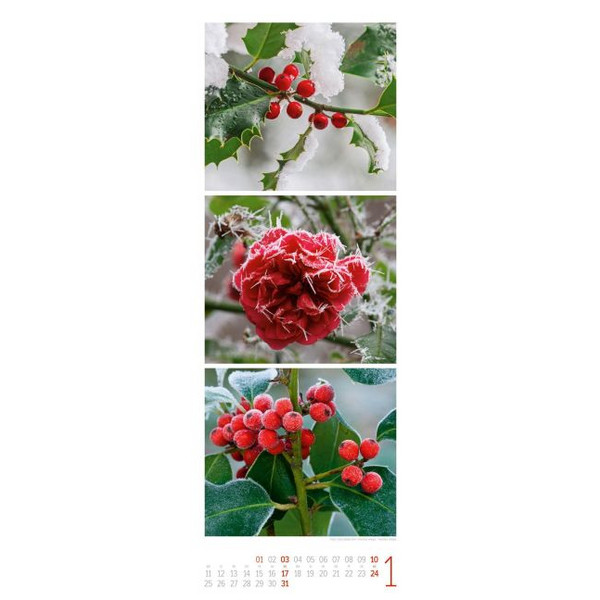 NATURZEIT TRIPLET-KALENDER 2027 Ansicht 2